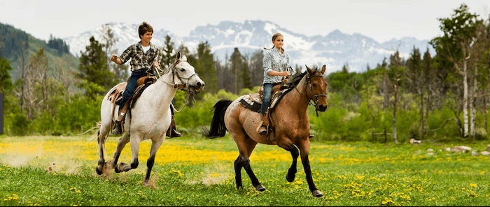 Confident plus-size woman riding East Retford a horse through a field with a smile on her face.